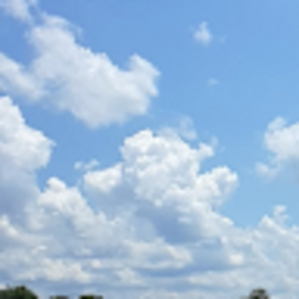 Meet your Posher, Ava